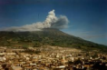 /album/reforestacion/panoramica-de-pasto-png/